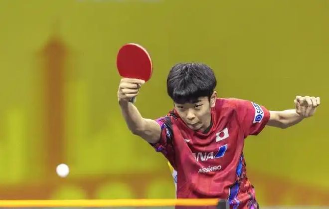 波兰乒乓球队完胜瑞典乒乓球队，张本智和惊艳世界的简单介绍