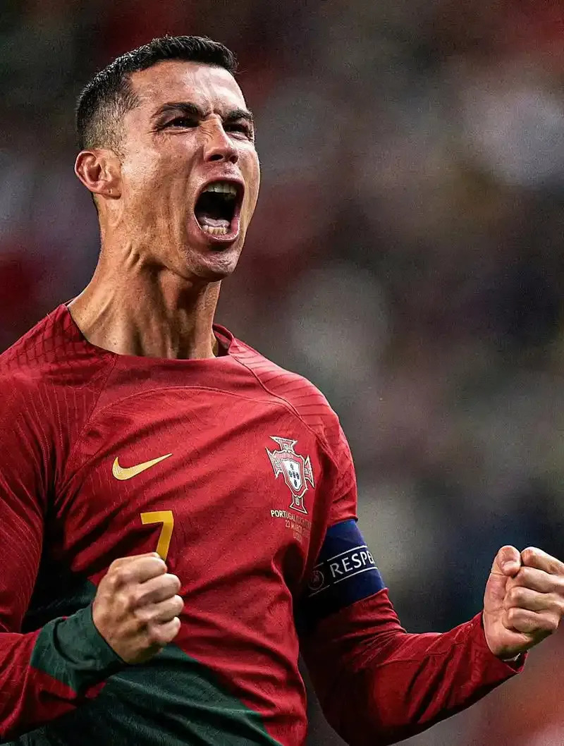 塞尔维亚球队以不屈不挠的精神获得胜利,令人动容的简单介绍 塞尔维亚球队以不屈不挠的精神获得胜利,令人动容的简单介绍