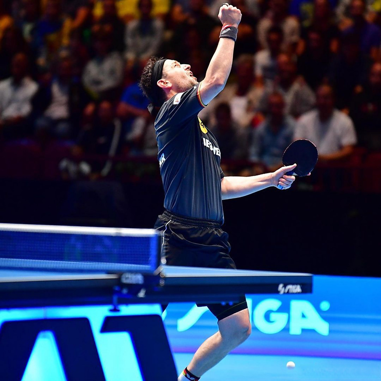 日本乒乓球队强势波兰乒乓球队，波尔高光表现的简单介绍