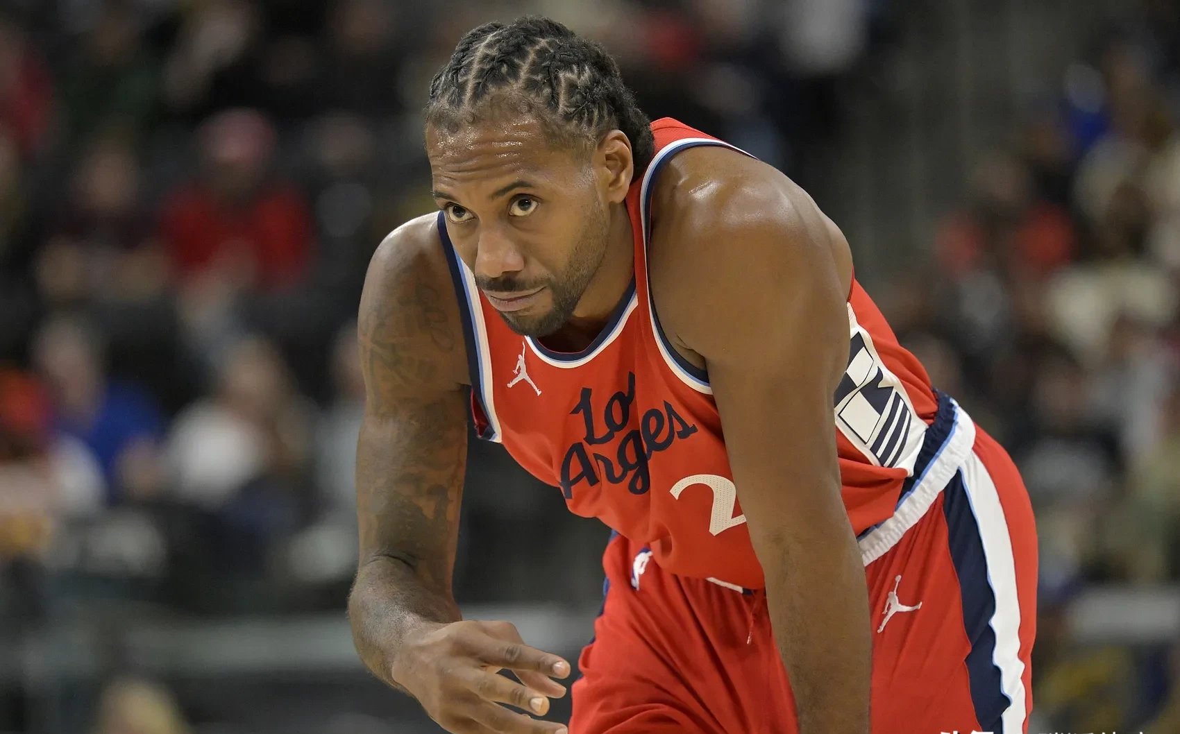 包含篮网碾压德国男篮，东契奇高光表现的词条