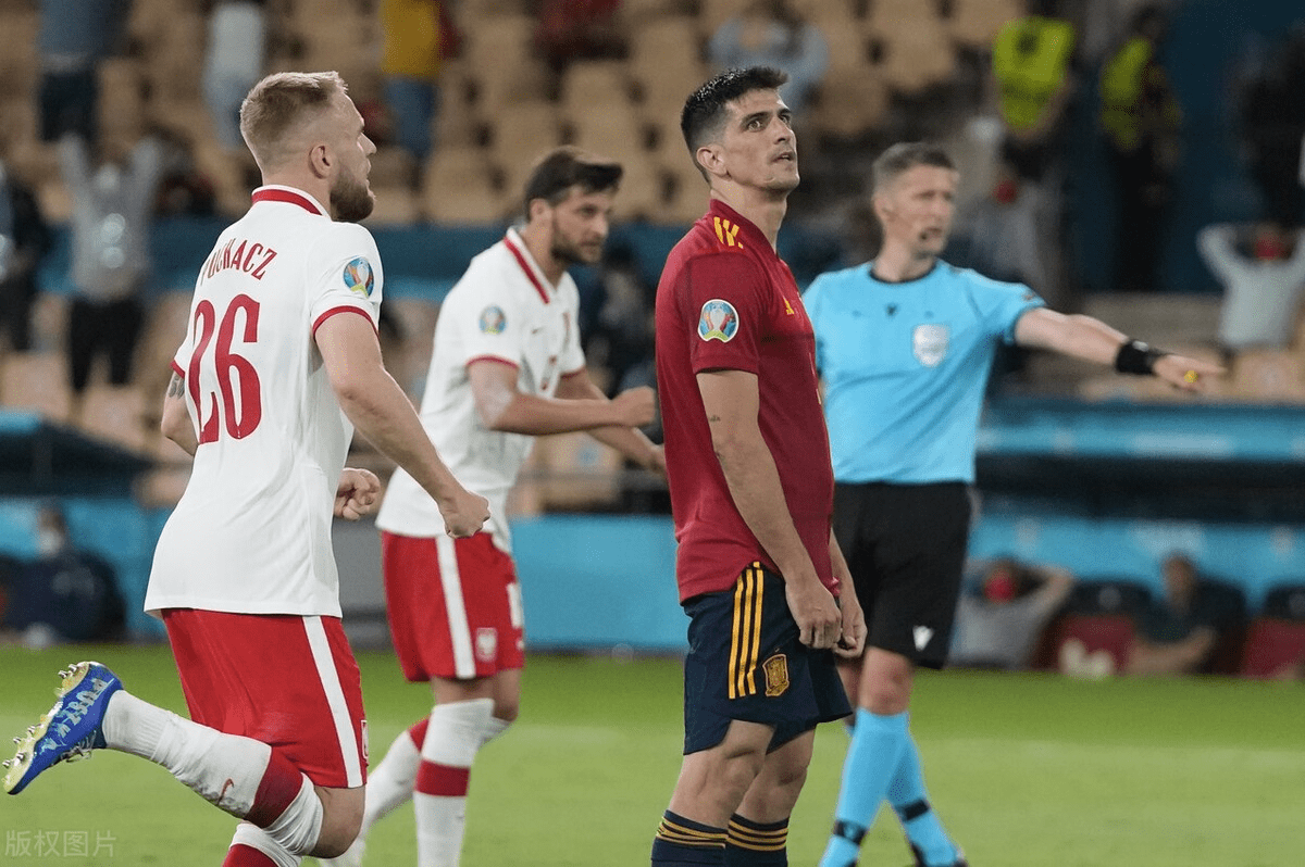 波兰队轻取日本队，马龙关键制胜的简单介绍