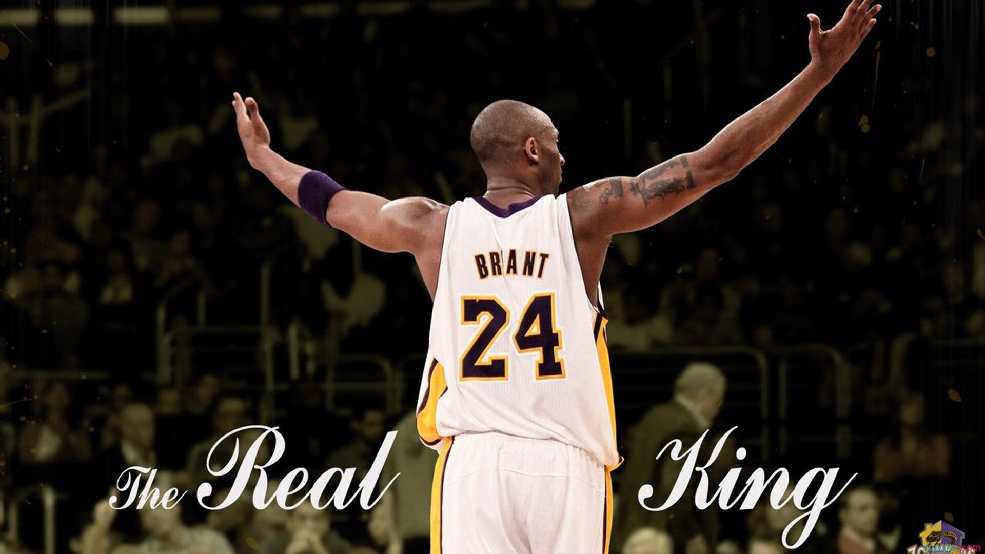 掘金鏖战浙江队,浓眉进攻端无人可挡